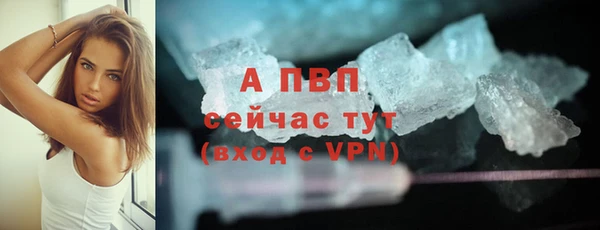 мяу мяу мука Елабуга