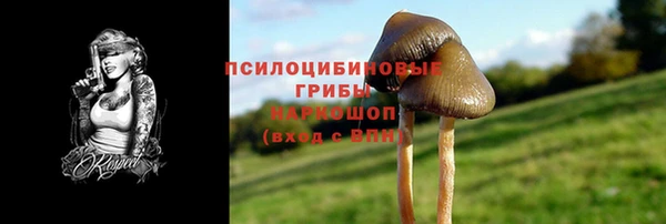 мяу мяу мука Елабуга