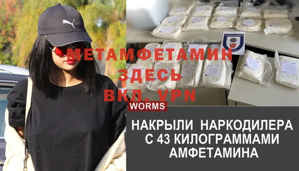 мяу мяу мука Елабуга
