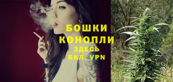 мяу мяу мука Елабуга