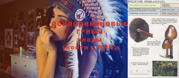 марихуана Ельня