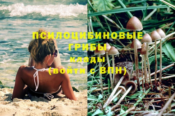 марихуана Ельня