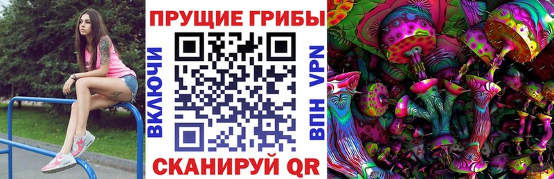Галлюциногенные грибы прущие грибы  Купить где  Балабаново 