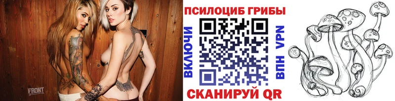 Псилоцибиновые грибы GOLDEN TEACHER Балабаново